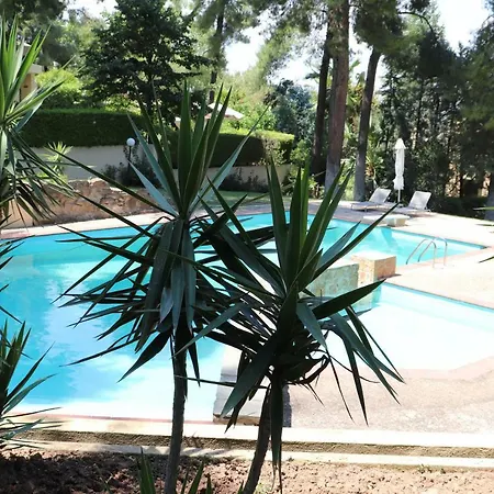 Felicita In Sani Chalkidiki * Sani (Chalkidiki)